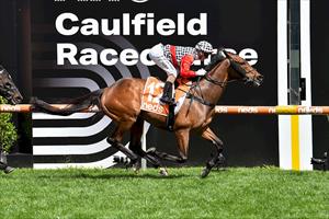 EN GARDE: KNIGHT DOMINATES STAKES OPPOSITION